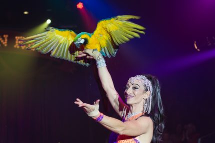 50mm lens ideaal bij weinig licht